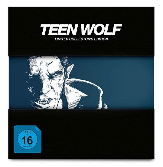 Cover for Teen Wolf · Teen Wolf-die Komplette Serie (Staffel 1-6)-li (DVD) (2021)