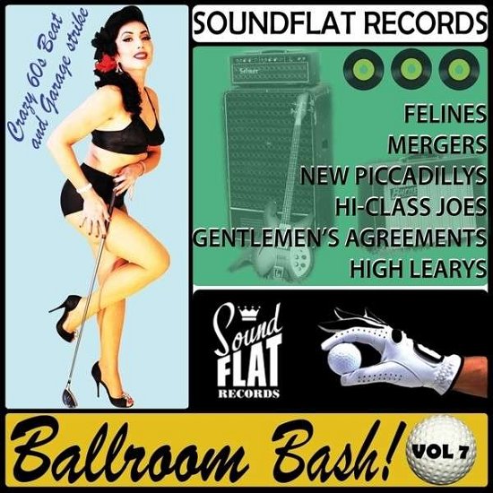 Cover for Soundflat Records 7 (CD) (2013)