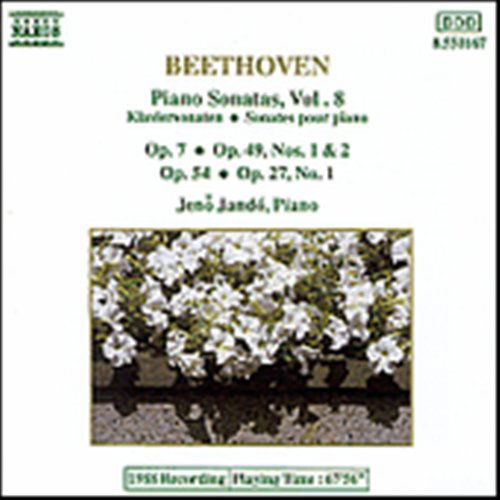 Paino Sonatas 4,13,19,20& - Ludwig Van Beethoven - Music - NAXOS - 4891030501676 - November 28, 1991