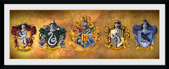 Cover for Harry Potter · Houses Framed Print 30 (CD)