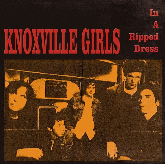 Cover for Knoxville Girls · In a Ripped Dress (LP) (2021)