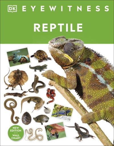 Cover for Dk · Reptile - DK Eyewitness (Hardcover Book) (2023)