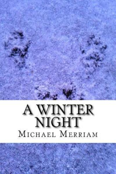 Cover for Michael Merriam · A Winter Night (Paperback Book) (2017)