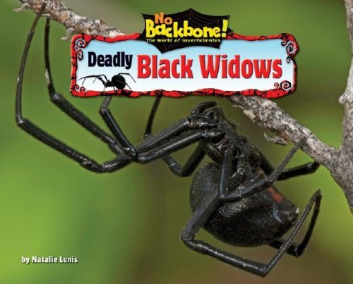 Cover for Natalie Lunis · Deadly Black Widows (No Backbone! the World of Invertebrates) (Inbunden Bok) (2008)
