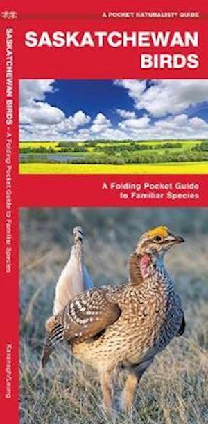 Cover for James Kavanagh · Saskatchewan Birds: A Folding Pocket Guide to Familiar Species - Wildlife and Nature Identification (Pamphlet) (2019)