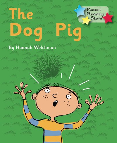 Cover for Welchman Hannah · The Dog Pig: Phonics Phase 2 - Reading Stars Phonics (Paperback Bog) (2019)
