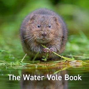 Cover for Hugh Warwick · The Water Vole Book (Hardcover Book) (2023)