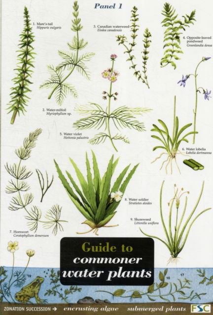 Cover for Richard Orton · Guide to Commoner Water Plants - Field Studies Council Occasional Publications S. (Map) (2000)