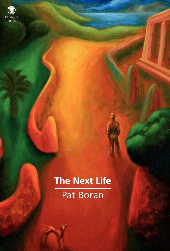 Cover for Pat Boran · The Next Life (Gebundenes Buch) [First edition] (2012)