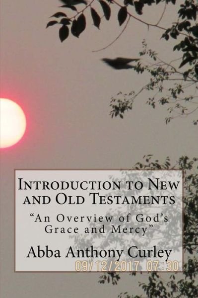 Cover for Abba Anthony Curley · Introduction to New and Old Testaments (Pocketbok) (2017)