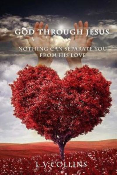 Cover for L V Collins · God through Jesus (Paperback Book) (2017)