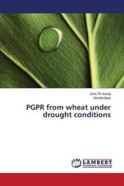 Cover for Til-vusqa Urva · Pgpr from Wheat Under Drought Conditions (Paperback Book) (2015)