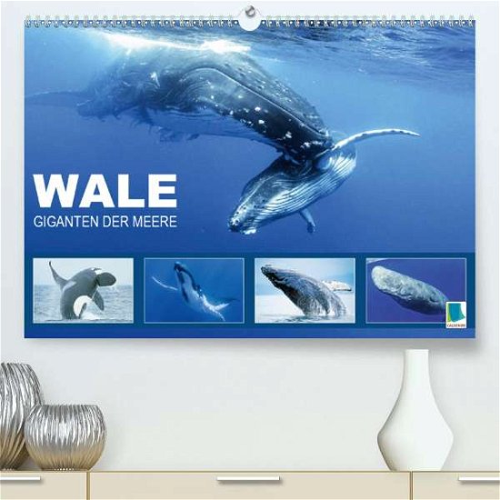 Cover for Wale · Giganten der Meere (Premium, hoch (Book)