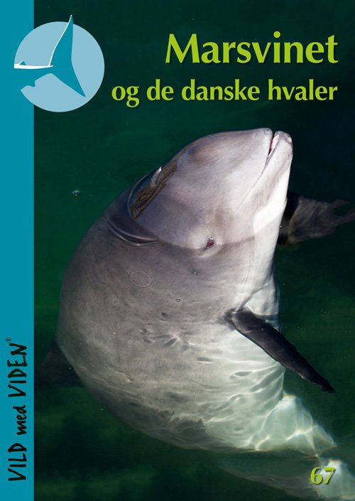 Cover for Tue Skovgård Larsen · Vild med Viden, Serie 9 Danske vanddyr: Marsvinet og de danske hvaler (Hæftet bog) (2018)