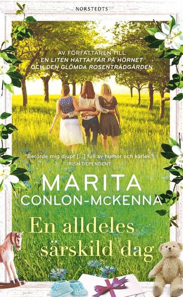 Cover for Marita Conlon-McKenna · En alldeles särskild dag (Paperback Book) (2019)