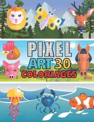Cover for Pixels En Couleur Édition · Pixel Art 30 Coloriages (Paperback Book) (2020)