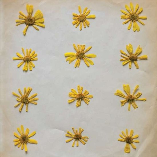 Cover for Molochs · Flowers In The Spring (CD) (2018)
