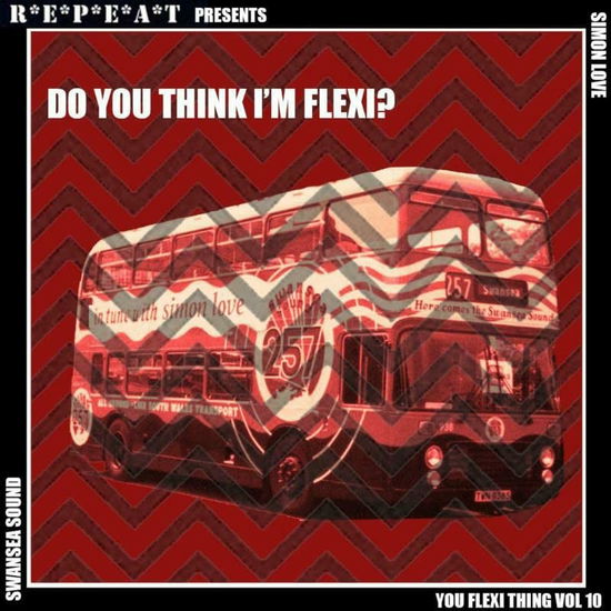 Cover for You Flexi Thing Vol.10: Do You Think I'm Flexi? (LP) (2022)