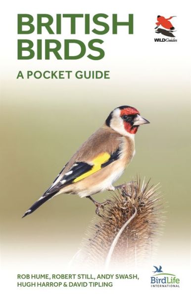 Cover for Rob Hume · British and Irish Birds: A Pocket Guide - WILDGuides (Taschenbuch) (2019)