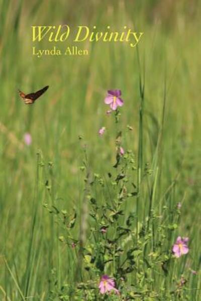 Cover for Lynda Allen · Wild Divinity (Paperback Book) (2017)
