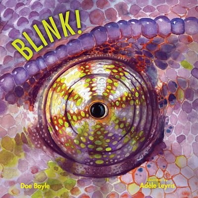 Cover for Doe Boyle · Blink (Innbunden bok) (2020)