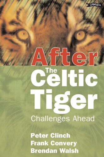 Cover for Peter Clinch · After the Celtic Tiger: Challenges Ahead (Taschenbuch) [1st edition] (2002)