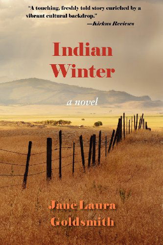 Cover for Jane Laura Goldsmith · Indian Winter: a Novel (Paperback Book) [First edition] (2012)