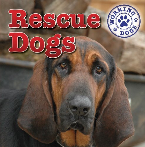 Cover for Kristen Rajczak · Rescue Dogs (Dog Mania Great Big Dogs) (Hardcover Book) (2011)