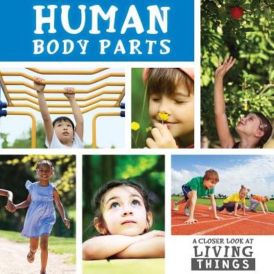 Cover for Steffi Cavell-Clarke · Human Body Parts (Closer Look at Living Things) (Book) (2016)