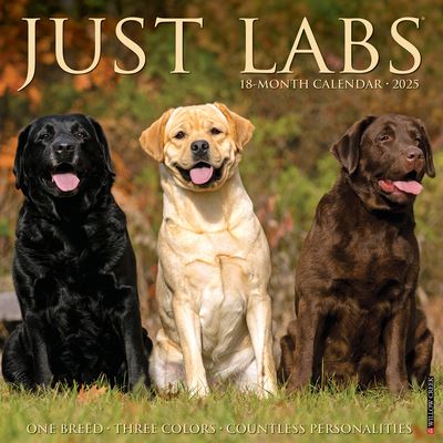 Willow Creek Press · Just Labs 2025 12 X 12 Wall Calendar (Calendar) (2024)