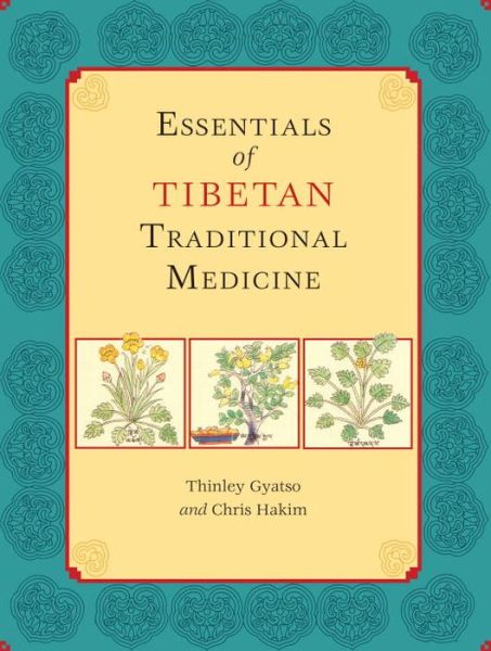 Cover for Thinley Gyatso · Essentials of Tibetan Traditional Medicine (Paperback Book) (2010)