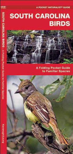 Cover for James Kavanagh · South Carolina Birds: a Folding Pocket Guide to Familiar Species (Pocket Naturalist Guide Series) (Pamphlet) [1st edition] (2017)