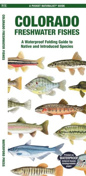 Cover for Morris, Matthew, Waterford Press · Colorado Freshwater Fishes - Pocket Naturalist Guides (Pamphlet) (2024)