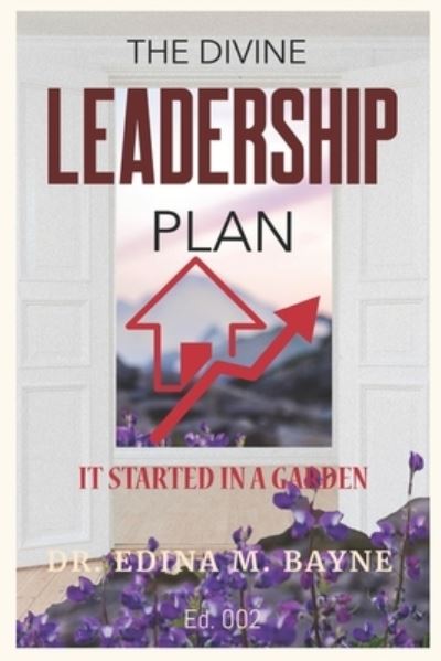 Cover for Edina M Bayne · The Divine Leadership Plan (Paperback Book) (2021)
