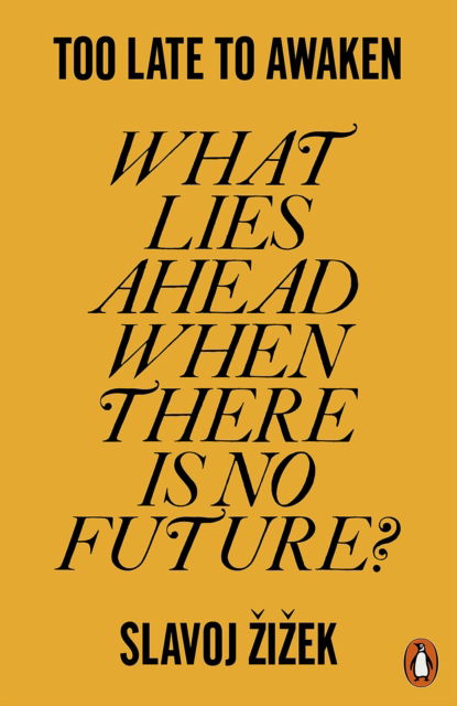 Too Late to Awaken: What Lies Ahead When There is No Future? - Slavoj Zizek - Books - Penguin Books Ltd - 9781802063677 - November 7, 2024