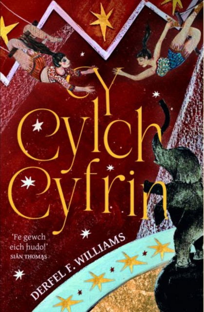 Cover for Derfel F. Williams · Y Cylch Cyfrin (Paperback Book) (2025)
