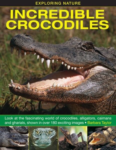Cover for Barbara Taylor · Exploring Nature: Incredible Crocodiles (Hardcover bog) (2014)