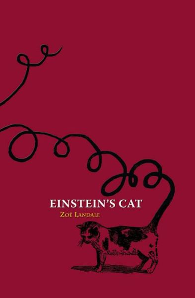 Cover for Zoë Landale · Einstein's Cat (Paperback Book) (2012)