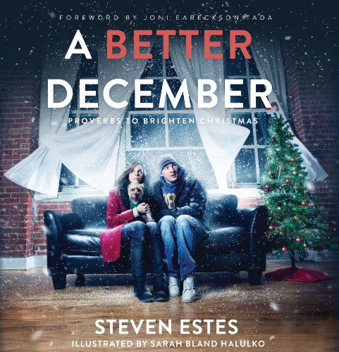 Cover for Steven Estes · A Better December (Hardcover Book) (2013)