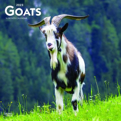 Cover for Browntrout · Goats 2023 Square (Calendar) (2022)