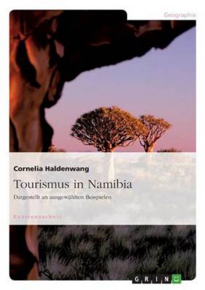 Cover for Haldenwang · Tourismus in Namibia (Book) [German edition] (2008)