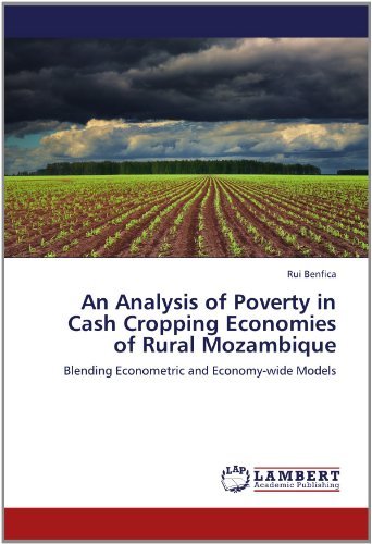 Cover for Rui Benfica · An Analysis of Poverty in Cash Cropping Economies of Rural Mozambique: Blending Econometric and Economy-wide Models (Pocketbok) (2012)
