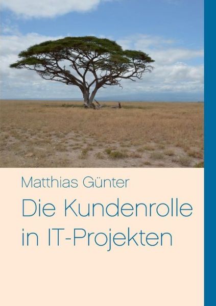 Cover for Matthias Gunter · Die Kundenrolle in IT-Projekten (Paperback Book) [German edition] (2013)