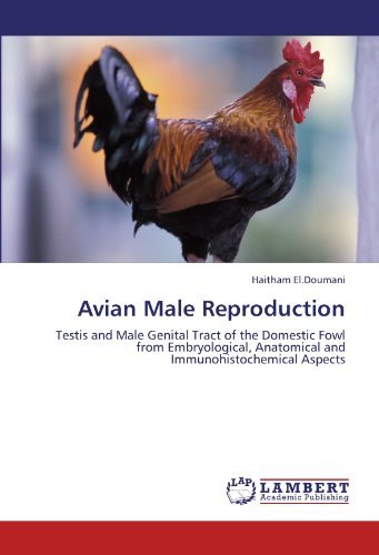 Cover for Haitham El.doumani · Avian Male Reproduction: Testis and Male Genital Tract of the Domestic Fowl from Embryological, Anatomical and Immunohistochemical Aspects (Paperback Book) (2012)