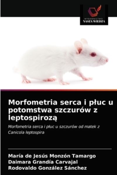 Cover for Maria de Jesus Monzon Tamargo · Morfometria serca i pluc u potomstwa szczurow z leptospiroz? (Paperback Book) (2020)
