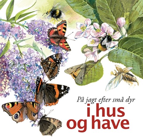Cover for Peter Nielsen · På jagt efter: På jagt efter små dyr  - i hus og have (Bound Book) [1.º edición] (2008)