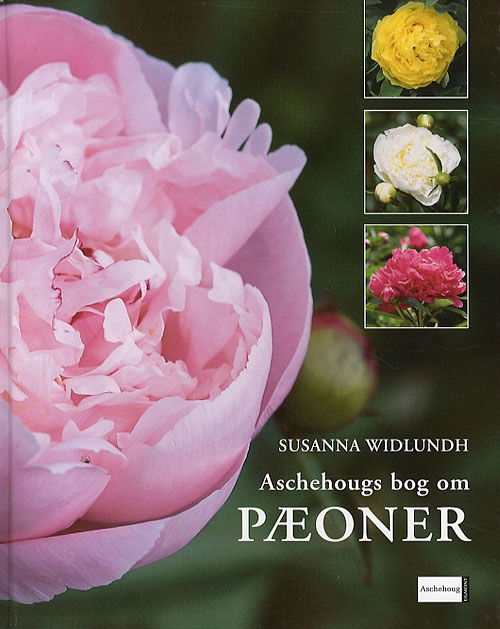 Cover for Susanna Widlundh · Aschehougs bog om Pæoner (Bound Book) [1. wydanie] (2007)