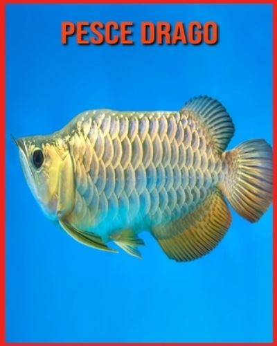 Cover for Linda Davis · Pesce Drago: Fatti di apprendimento divertenti sui Pesce Drago (Paperback Book) (2021)