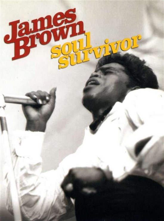 Cover for James Brown · Soul Survivor (DVD) [Digipak] (2003)