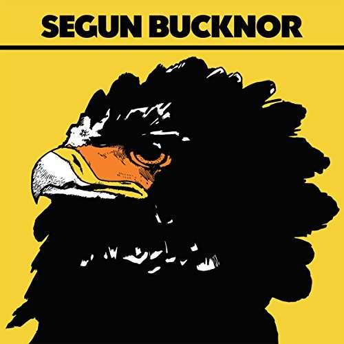 Cover for Segun Bucknor (LP) (2021)